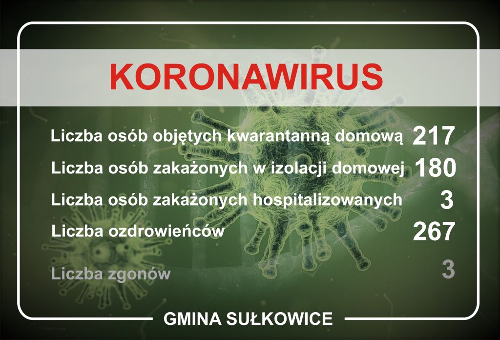 koronawirus dane dla gminy sułkowice na dzień 10.11