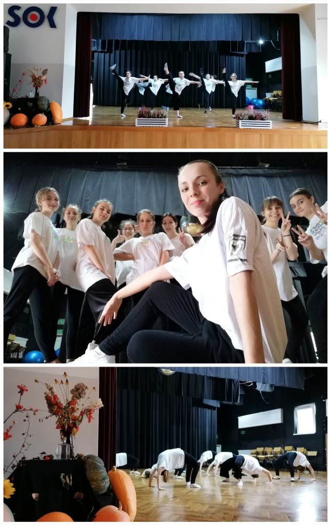 zdjęcia z zajec ogarnij to i tancz