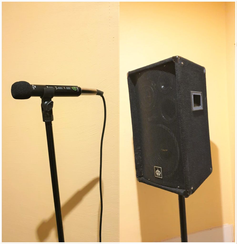 mikrofon i głośnik