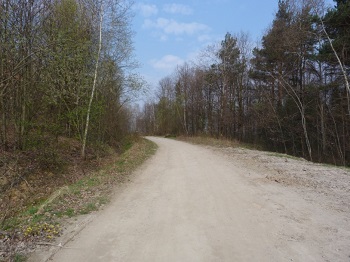 MODERNIZACJA DROGI NA DZIAłY W KRZYWACZCE etap II